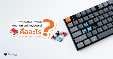 Low profile Switch Mechanical Keyboard คืออะไร