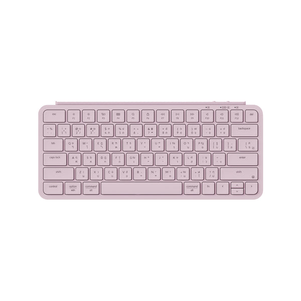 B1-Pro-Blossom-Pink_grande.jpg 